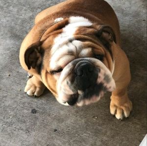 Meet your Posher, Jorge